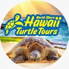Logo: Green sea turtle on a beach, with “North Shore Hawaii Turtle Tours” text and turtle outline.