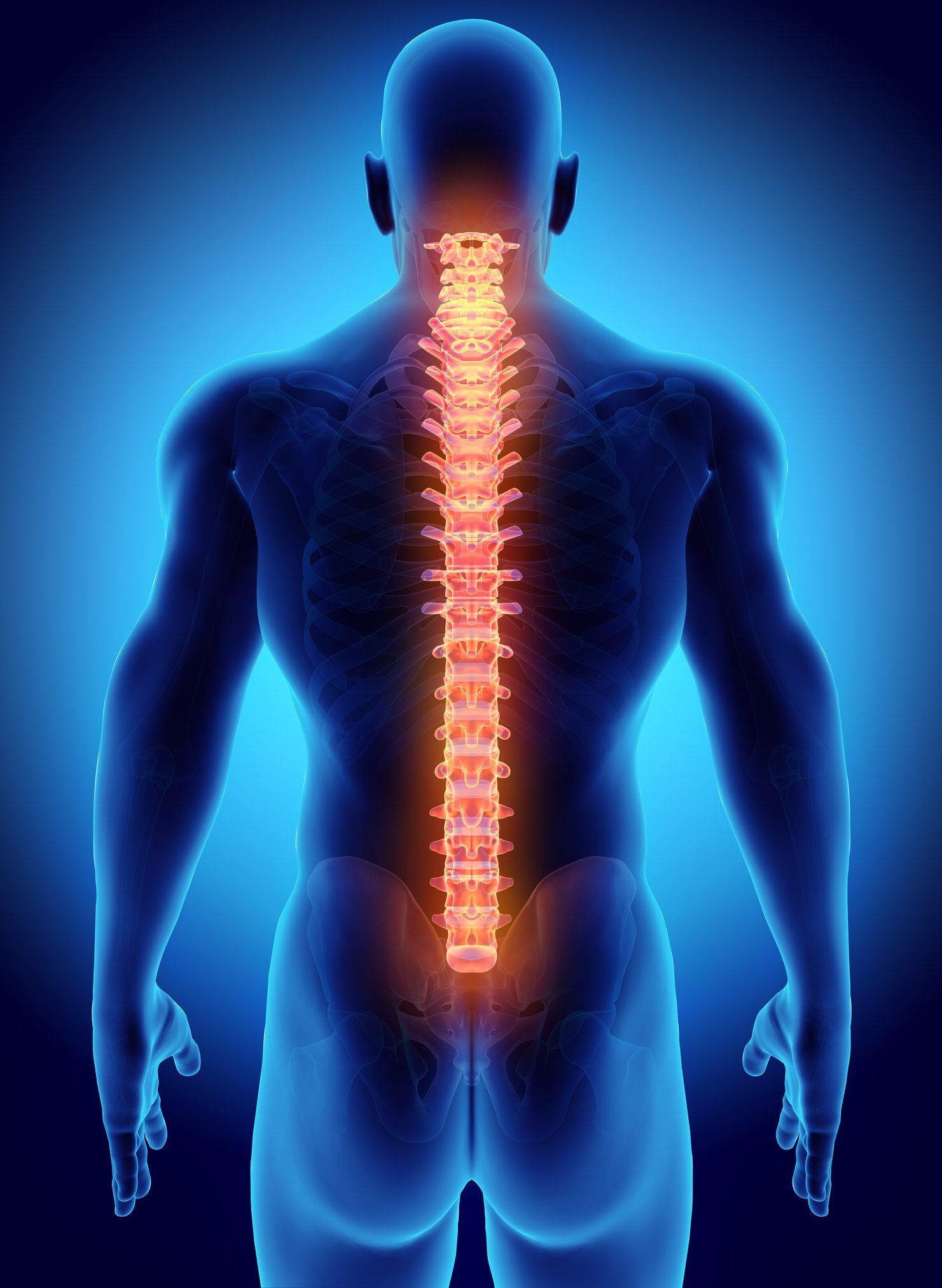 Spine — Chattanooga, TN — Vaughn Spine and Orthopedics P.L.L.C.