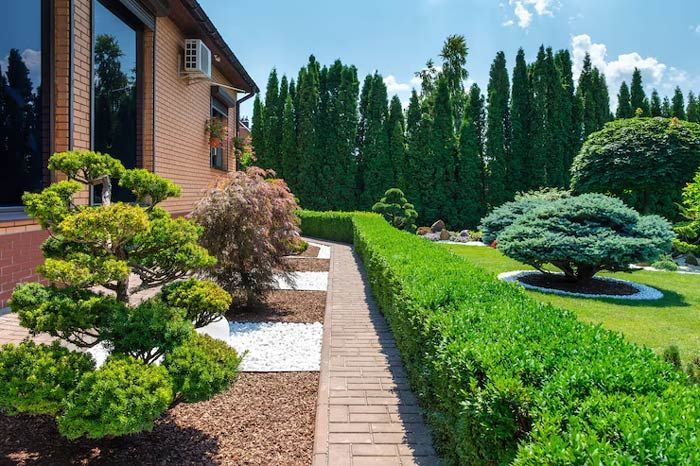 Brick house garden with trimmed hedges, topiary shrubs, and a brick path under a bright blue sky
