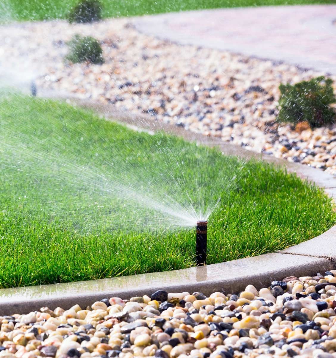Sprinkler watering green lawn beside a gravel border in a landscaped yard