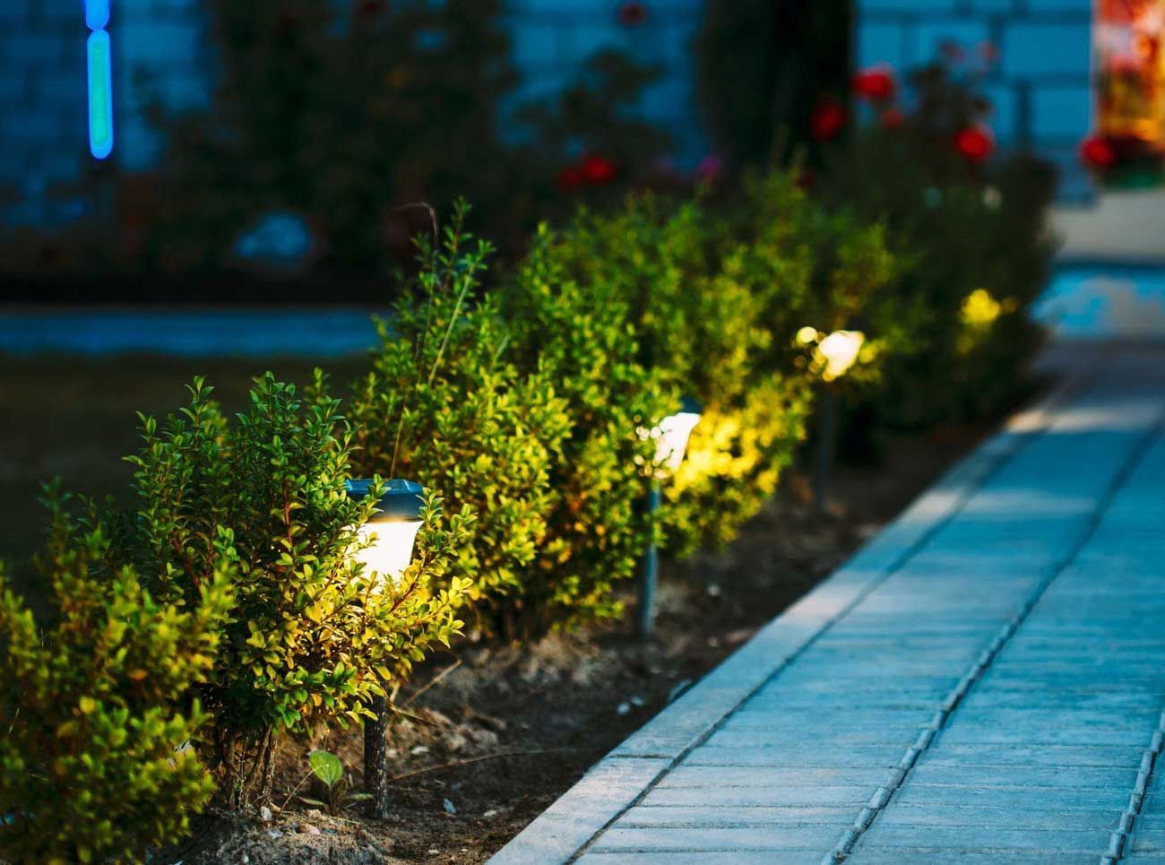 Lit walkway beside glowing shrubs at dusk