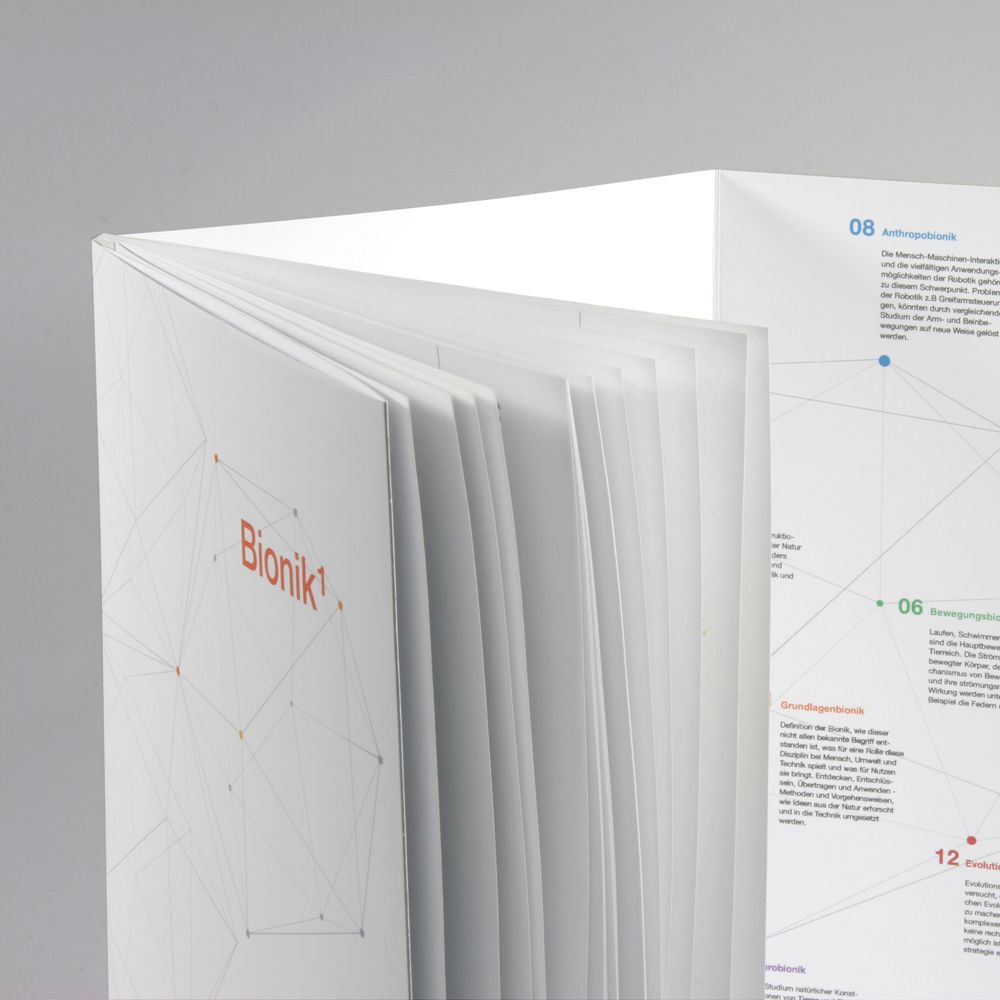 Lernmaterial-Paket: Schuber mit 3 Heften und einem Plakat über Bionik.