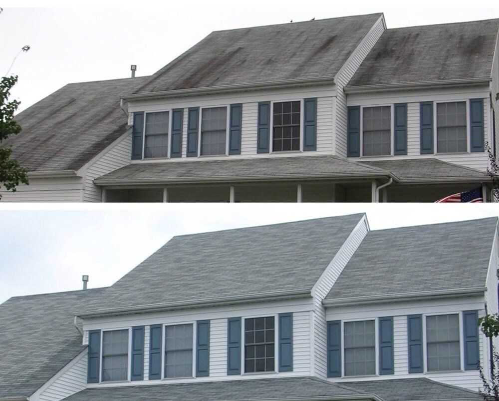 roof cleaning service
