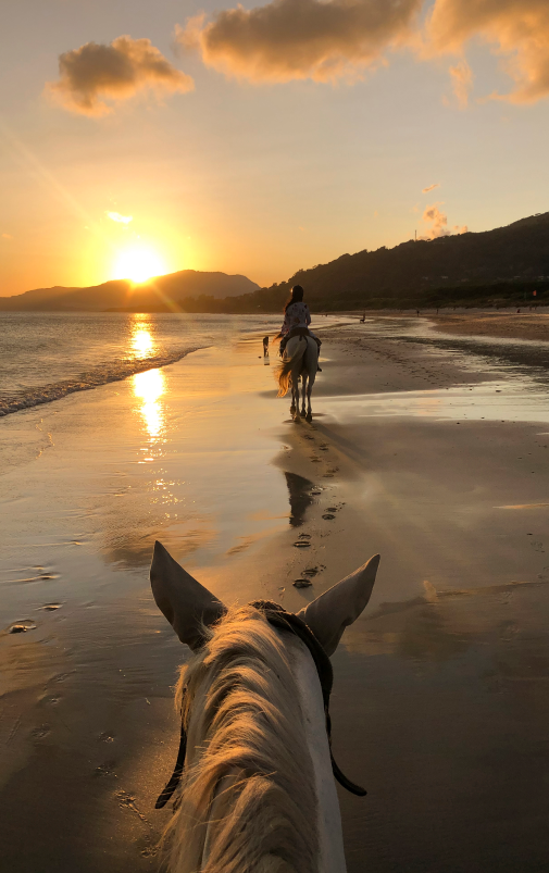 Cabalgando por la playa al atardecer. Un segundo caballo delante, con el sol reflejándose en el agua.