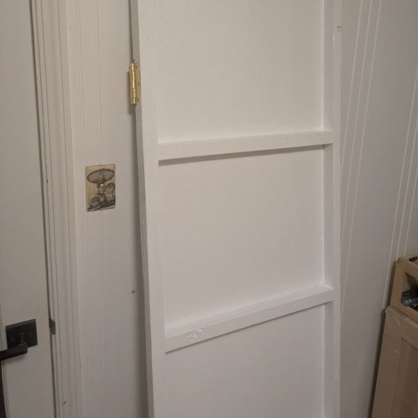 White paneled door partially open in a hallway, with brass hinges and a visible wall switch.
