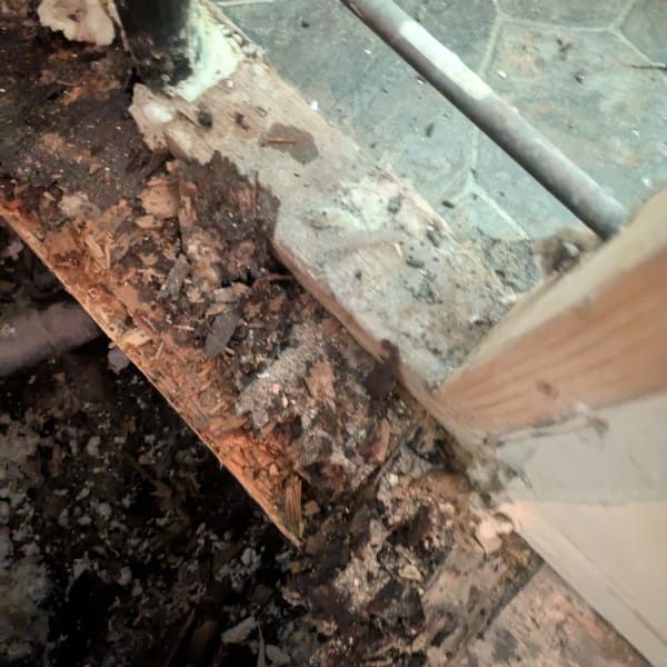 Rotting wooden floor joists with visible termite damage and debris near a wall.