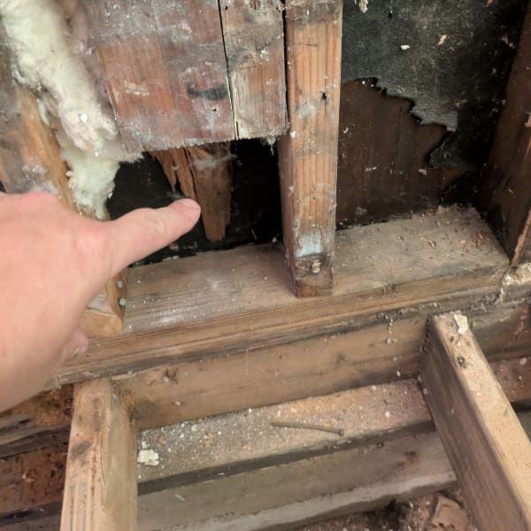 Hand pointing at a rotted wooden wall with a hole and exposed framing in a damaged interior.