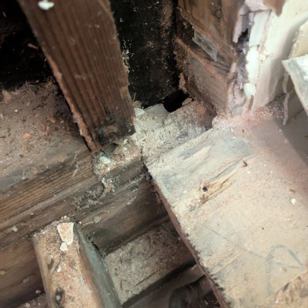 Close-up of rotted wooden floor framing with dust and peeling paint near a wall opening