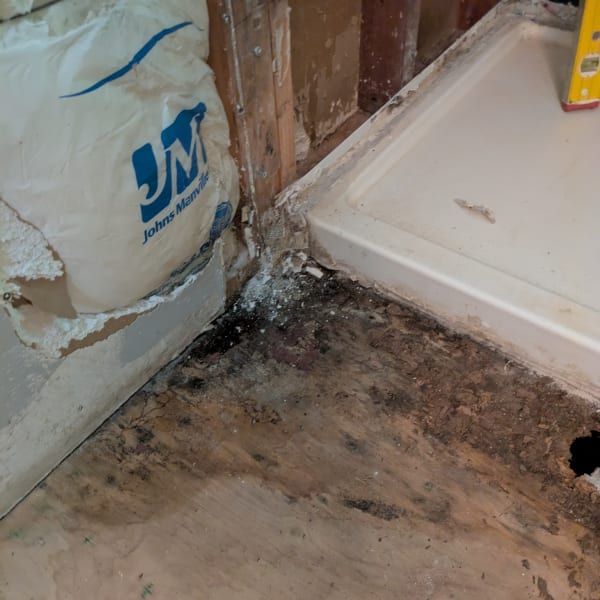 Damaged bathroom floor and wall corner with mold and exposed subflooring near a shower base