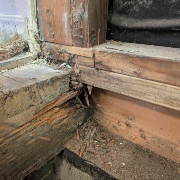 Close-up of rotting wooden window frame and sill with peeling paint and cracked, decayed wood.