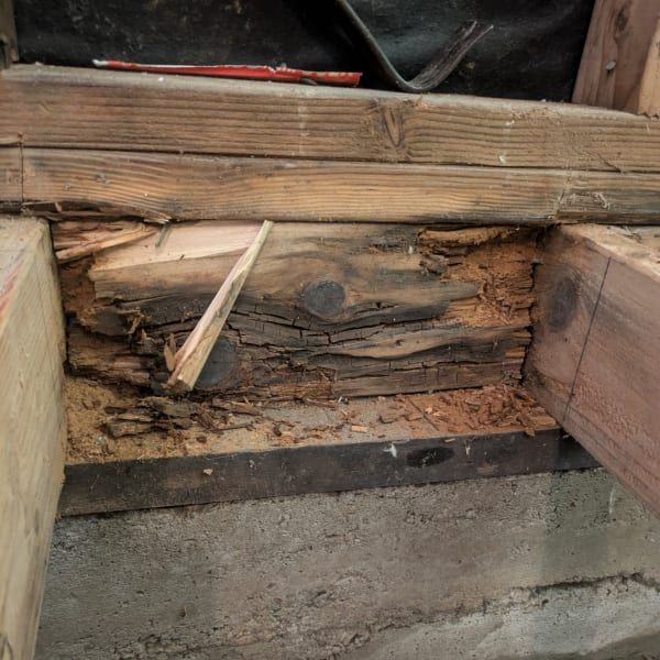 Damaged wooden stair tread with rotting wood and exposed concrete beneath