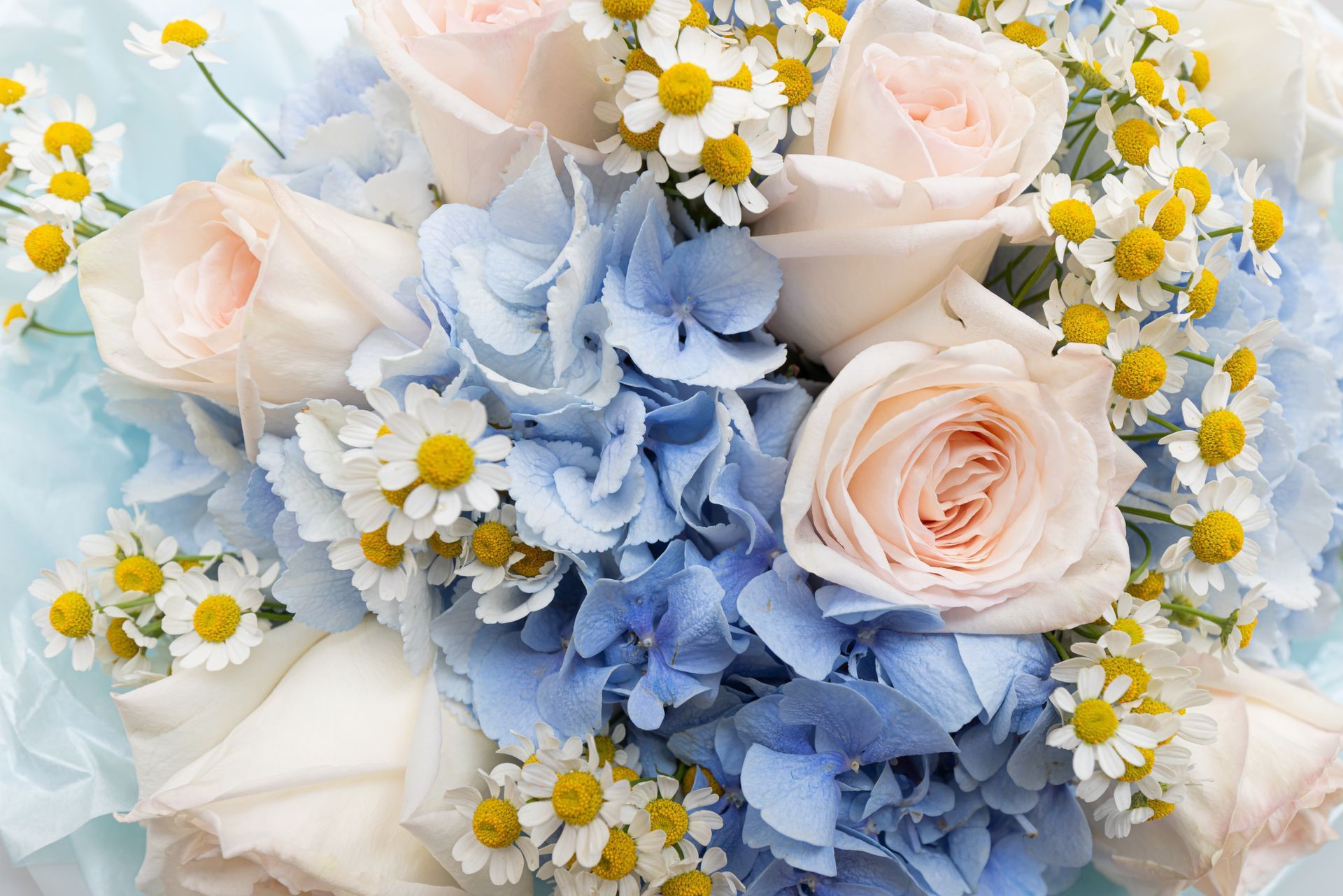 Soft pastel bouquet of pale pink roses, blue hydrangeas, and white daisies with yellow centers
