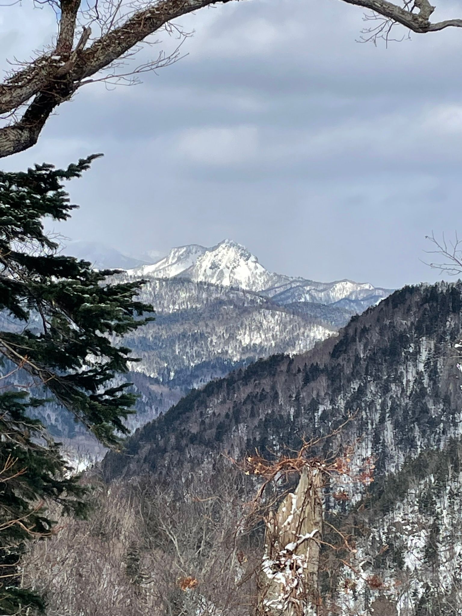View of Kotengu dake from Hoheikyo ridge.