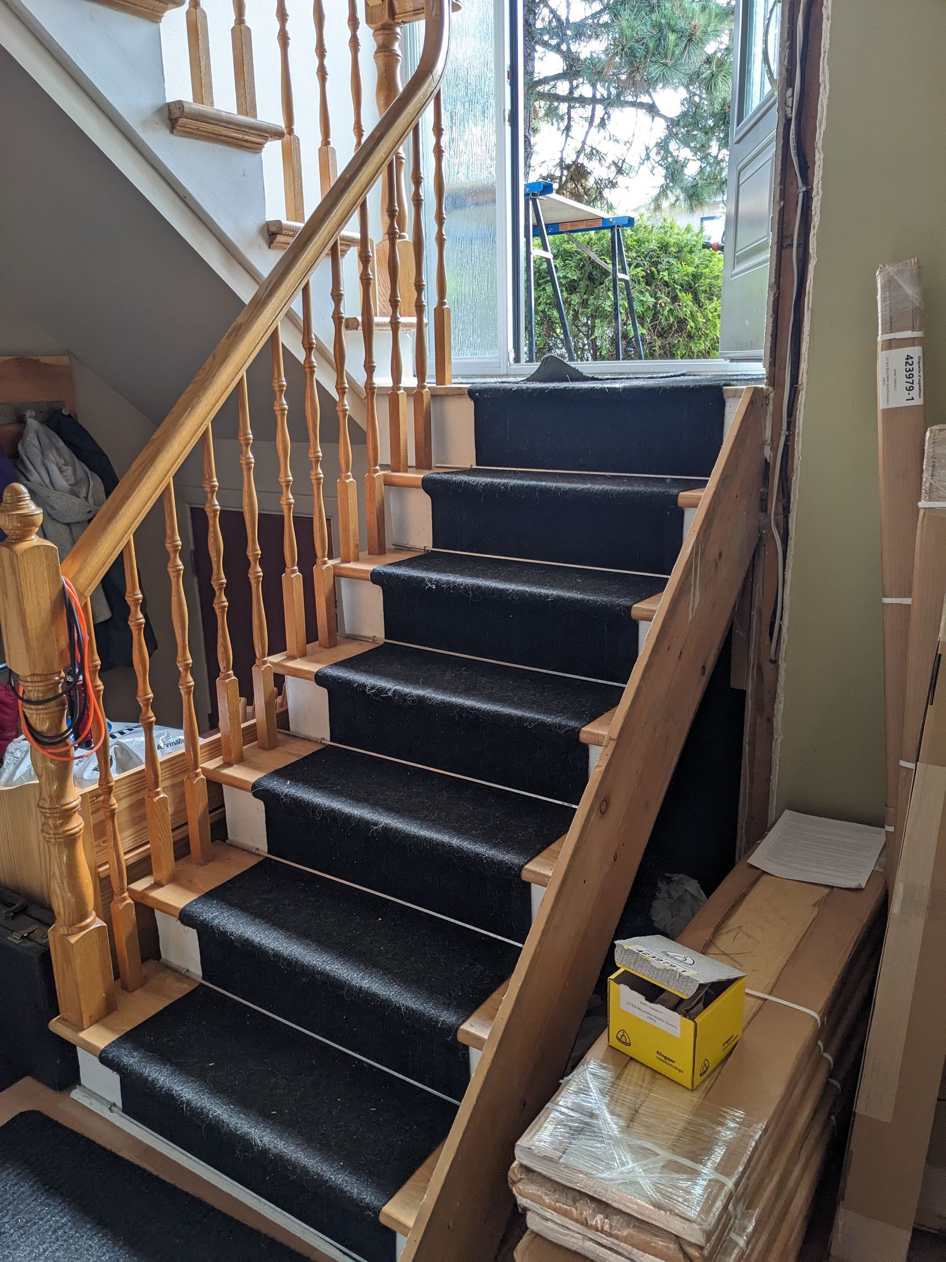 Escalier avec tapis noir et rampe en bois. Porte avec végétation visible en haut.