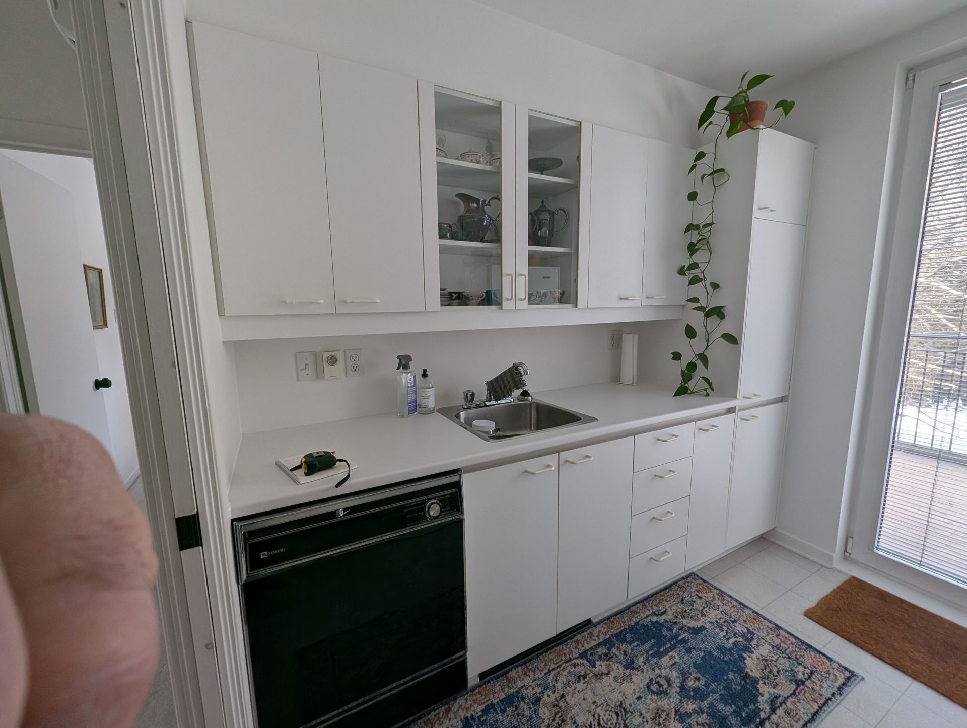 Cuisine blanche avec placards, évier et lave-vaisselle. Un tapis et une plante sont visibles.