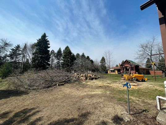 Metro Detroit Tree & Firewood