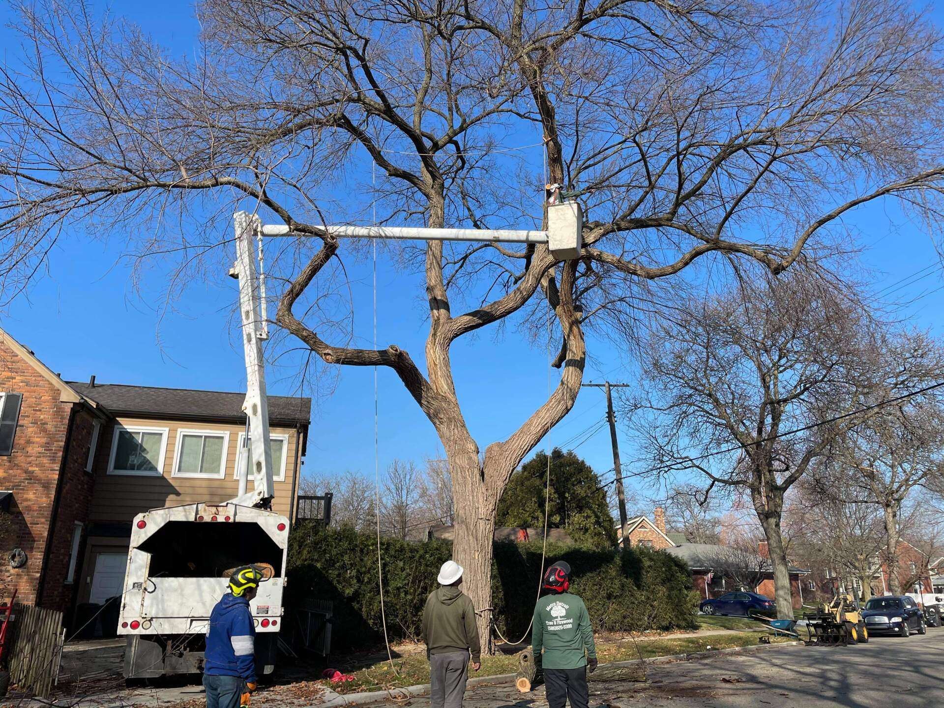 Metro Detroit Tree & Firewood