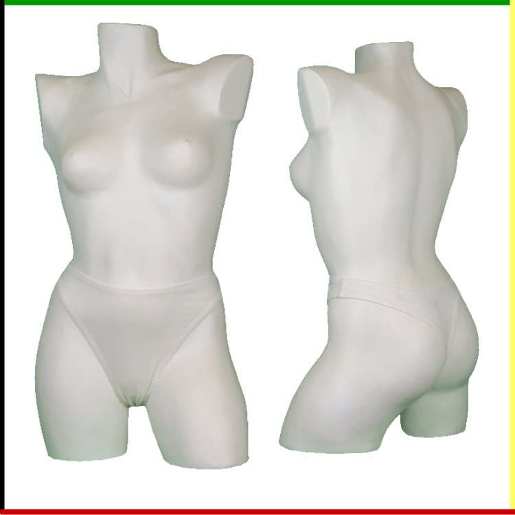 Witte vrouwelijke mannequin torso, voor- en achterkant, voor kledingpresentatie.