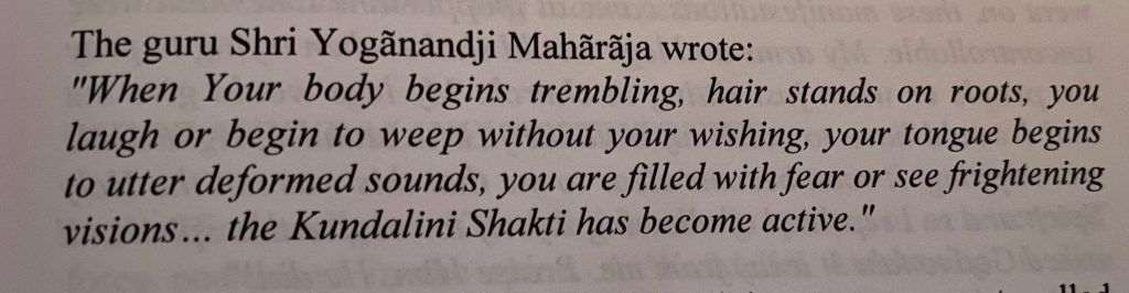The guru shri yoginanditi malaraja wrote when your body begins trembling hair stands on roots you laugh or begin to weep