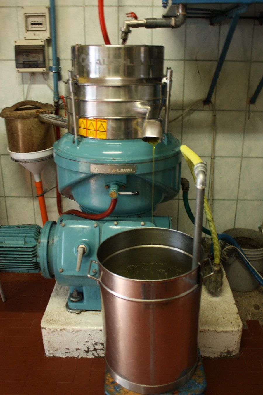 produzione di olio extravergine di qualità