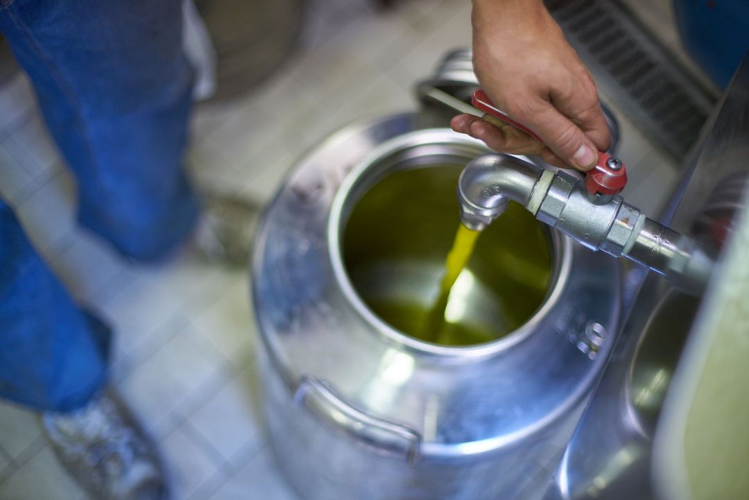 sala per la degustazione dell'olio