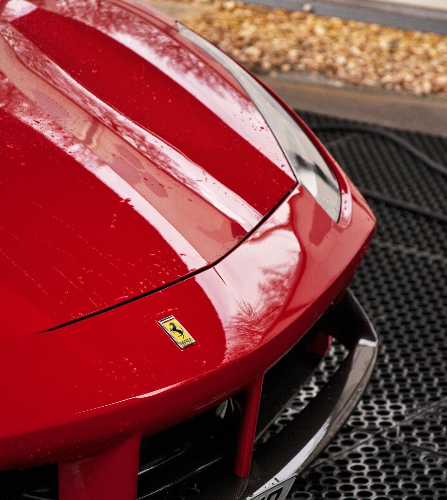 Close-up of a red Ferrari sports car hood and front grille at an outdoor location