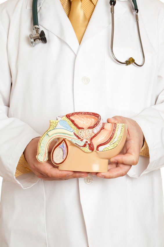 urologia maschile