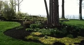 Landscaped garden with flower beds and tall trees beside a grassy waterfront walkway