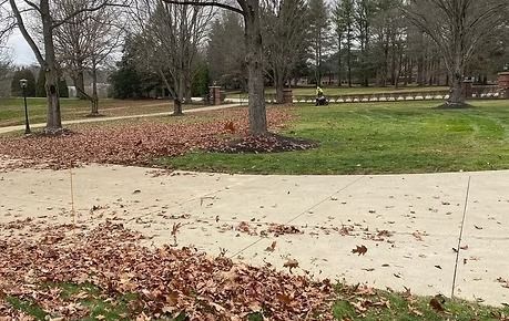 Leaf-covered park path beside bare trees and green grass on an overcast day