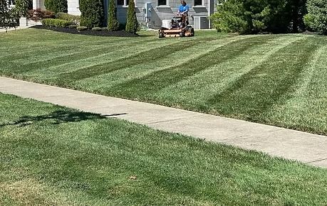 Person riding a lawn mower on a striped green lawn near a house