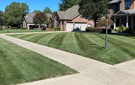 Suburban neighborhood with neatly striped lawns, sidewalks, and brick houses under a clear blue sky