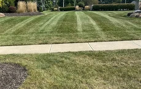 Freshly mowed lawn with striped grass and a concrete sidewalk in the foreground