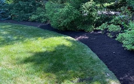 Lush green lawn bordered by a dark mulched garden bed with trees and shrubs
