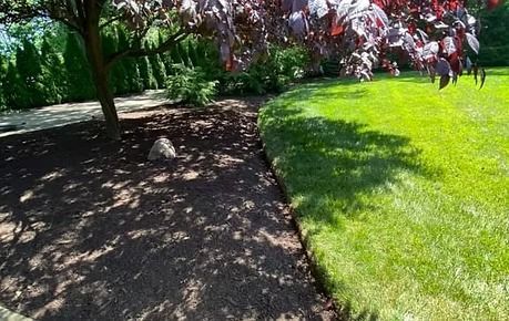 Shaded garden path beside a bright green lawn under trees with red leaves