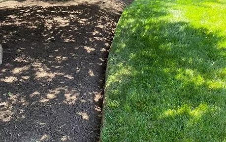 Shaded asphalt path beside bright green grass in sunlight