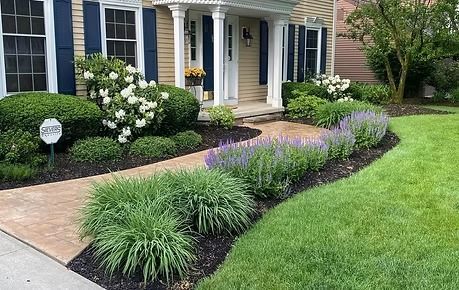 Front yard garden with purple flowers and green shrubs along a curved walkway beside a house