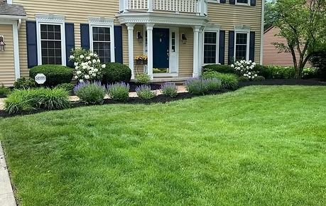Suburban house with a green lawn and landscaped front garden