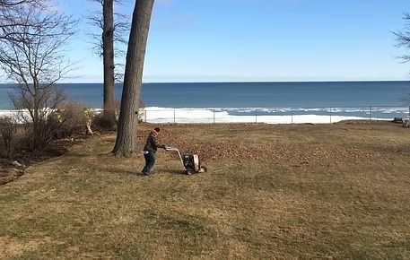 Two people playing with a dog on a grassy lawn by the ocean on a clear day