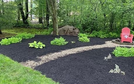 Landscaped garden bed with black mulch, green hostas, rocks, and a red chair by trees