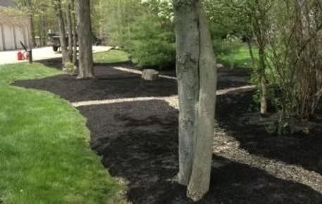 A landscaped garden bed with dark mulch, trees, and green grass beside a path