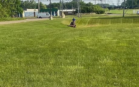 Person mowing a large grassy field near a road on a sunny day