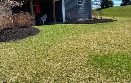 Grassy yard beside a house with a dark shed and mulch beds in the background