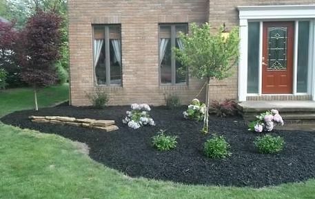 Front yard garden with black mulch, flowers, and a young tree beside a brick house and red front door