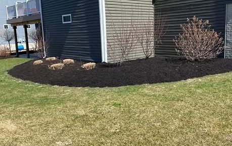 Apartment building corner with dark mulch beds, shrubs, and a grassy lawn on a sunny day