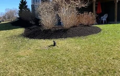 Backyard lawn with a small black sprinkler in front of a mulched shrub bed and patio chairs in the shade