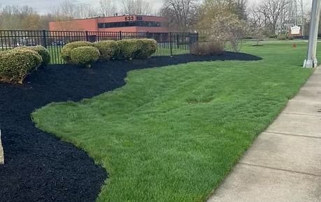 Curved green lawn bordered by black mulch beside a sidewalk and low shrubs