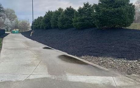 Sloped concrete sidewalk beside a black-mulched embankment with trees and an overcast sky