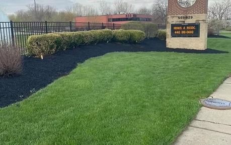 Landscaped lawn with shrubs, a sign monument, and a sidewalk beside a fenced roadside area.