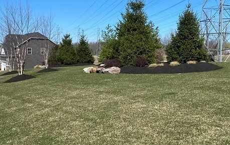 Landscaped front yard with green lawn, evergreen trees, rocks, and a house in the background