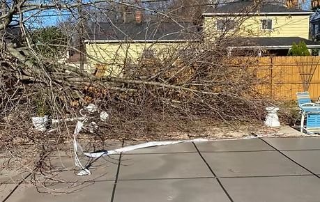 Backyard patio with fallen tree branches, a white statue, and a yellow house and fence in the background